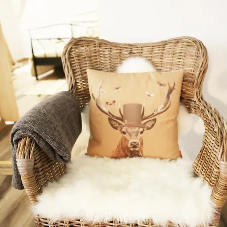 Gothic 아파트 브라쇼브