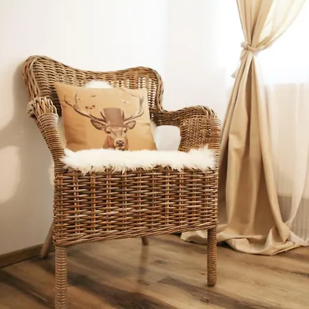 아파트 Gothic 브라쇼브